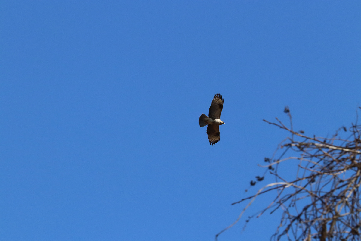 豊かな里山の風景